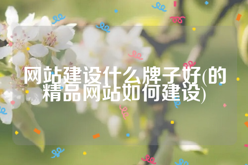 详细阅读:网站建设什么牌子好(的精品网站如何建设) 网站建设什么牌子好(的精品网站如何建设)