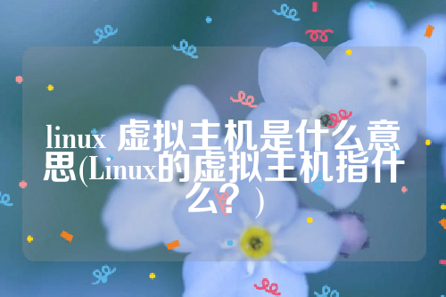 linux 虚拟主机是什么意思(Linux的虚拟主机指什么？)