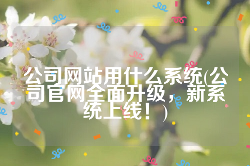公司网站用什么系统(公司官网全面升级，新系统上线！)