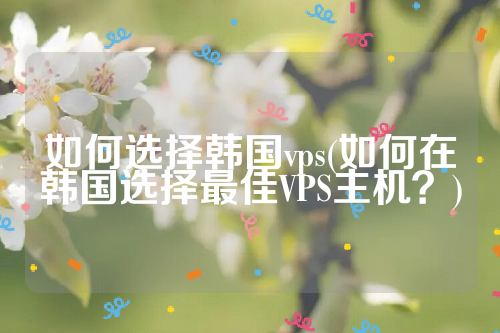 如何选择韩国vps(如何在韩国选择最佳VPS主机？)