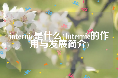 internic是什么(Internic的作用与发展简介)