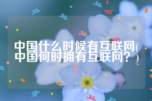 中国什么时候有互联网(中国何时拥有互联网？)