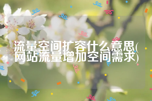 详细阅读:流量空间扩容什么意思(网站流量增加空间需求) 流量空间扩容什么意思(网站流量增加空间需求)