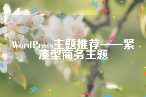 WordPress主题推荐——紧凑型商务主题