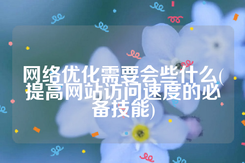 网络优化需要会些什么(提高网站访问速度的必备技能)