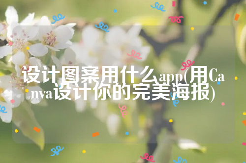 详细阅读:设计图案用什么app(用Canva设计你的完美海报) 设计图案用什么app(用Canva设计你的完美海报)