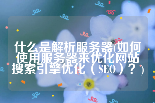 什么是解析服务器(如何使用服务器来优化网站搜索引擎优化（SEO）？)