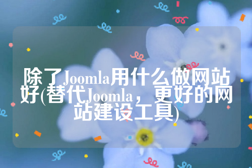 除了Joomla用什么做网站好(替代Joomla，更好的网站建设工具)