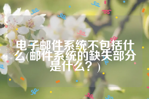 电子邮件系统不包括什么(邮件系统的缺失部分是什么？)