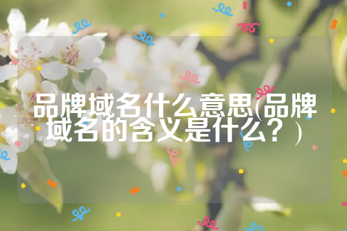 详细阅读:品牌域名什么意思(品牌域名的含义是什么?) 品牌域名什么意思(品牌域名的含义是什么?)